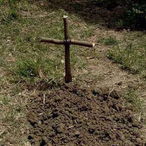 WTPatriarch's tweet photo. @sola_chad 2 weeks ago https://t.co/wuqxtEhbMO