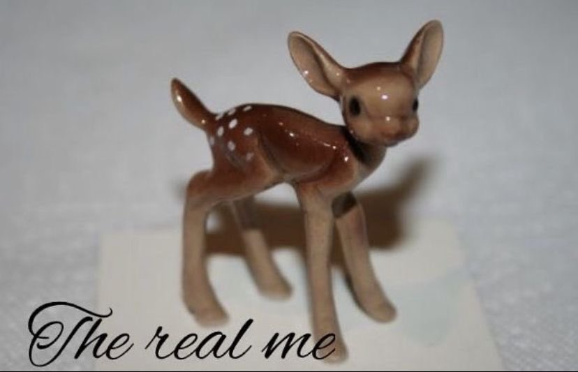 a_real_deer_'s tweet photo. 𝐈𝐧𝐭𝐫𝐨 𝐏𝐨𝐬𝐭
₊˚ ‿︵‿︵‿︵୨୧ · · ♡ · · ୨୧‿︵‿︵‿︵ ˚₊

╰┈➤ name: Fawn
╰┈➤ sw: 163lbs, cw: too high, gw: 100lbs
╰┈➤ i love walking, music, and daydreaming
╰┈➤ i post polls and threads! (hopefully)
╰┈➤ stepsmaxxer

♡  /   ↻   to be moots! https://t.co/S1Jn6WkyJL