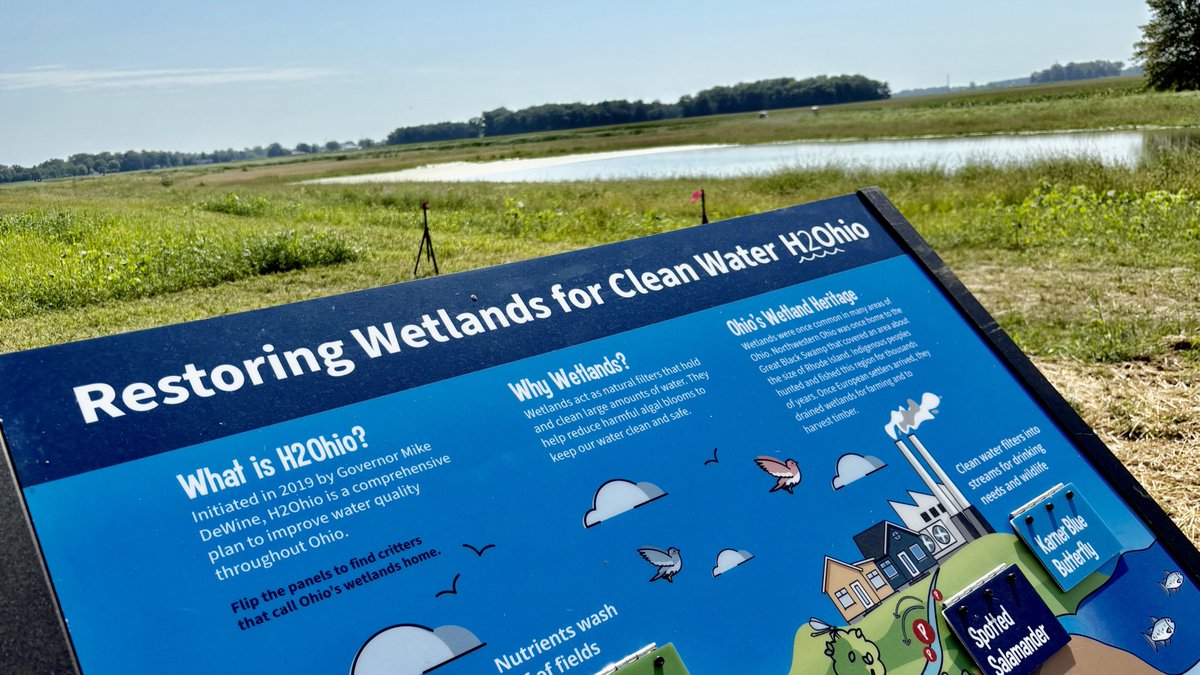 Sign about the "Restoring Wetlands for Clean Water H2Ohio" project in front of a wetland landscape. The sign includes information on H2Ohio's goals to improve water quality and the benefits of wetlands.