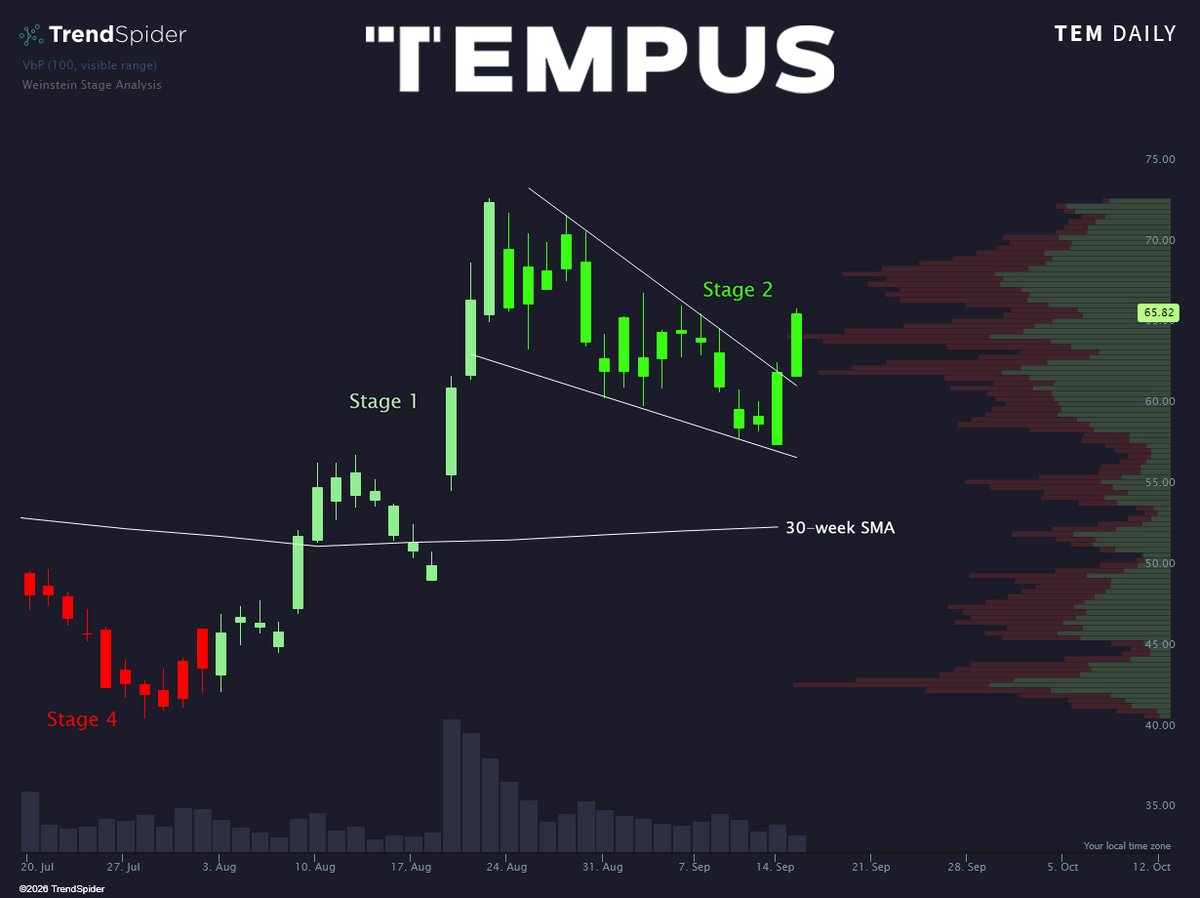TrendSpider's tweet photo. Back in Stage 2 for the first time since Oct 2025 🟢 $TEM https://t.co/FK0f9h2bwm