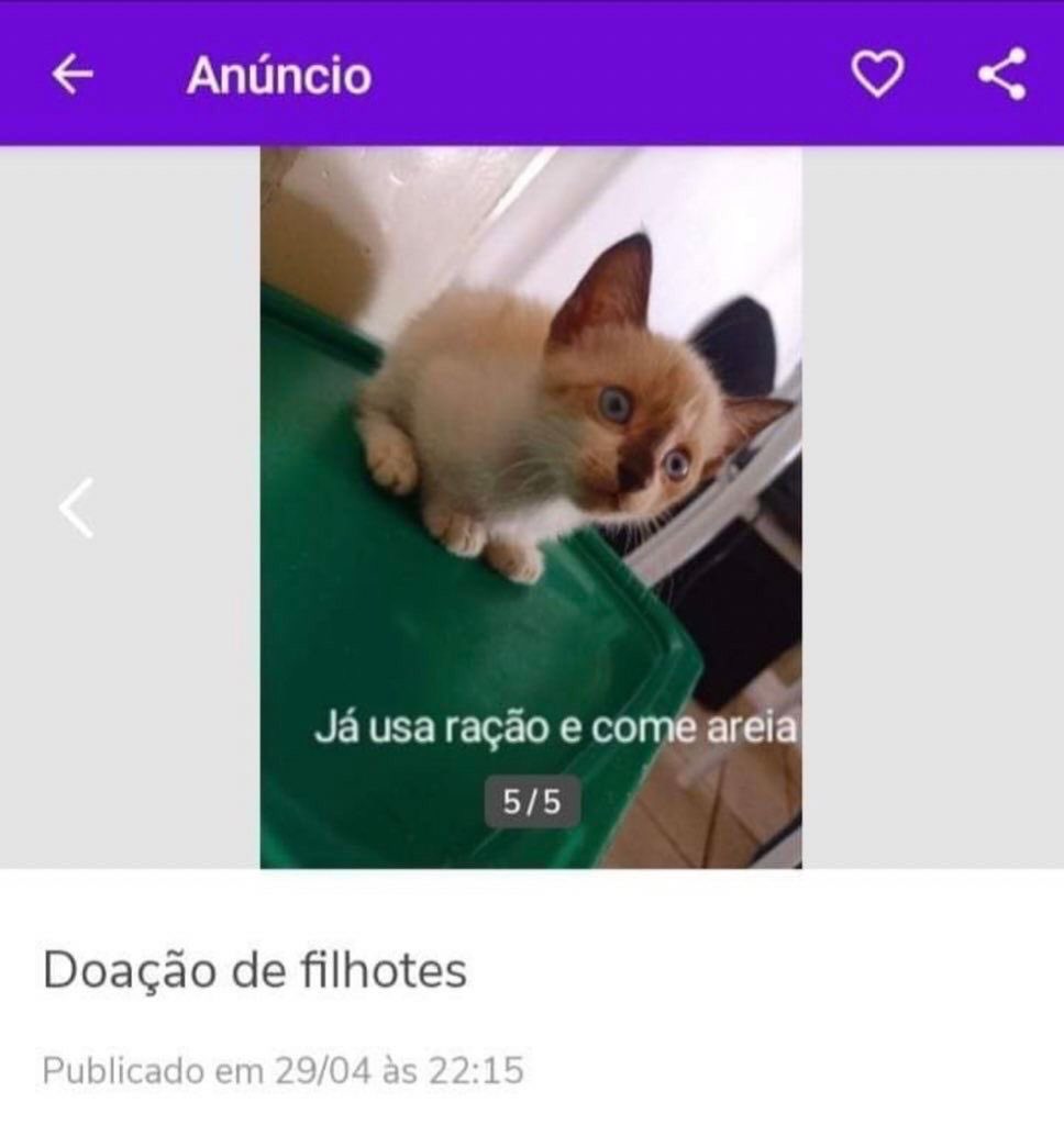 puliajema's tweet photo. poxa, to ficando velha mesmo: cai num golpe https://t.co/mOJopv2Hbp
