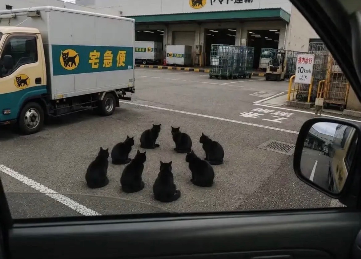 mettyasuki_bot's tweet photo. 出勤したら本部の人来てた https://t.co/UPZ4YVWP90
