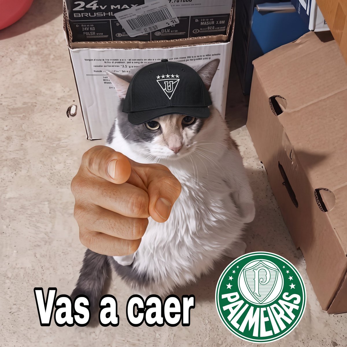 amadCDN's tweet photo. @DavilaAurelio https://t.co/z905bdEFvo