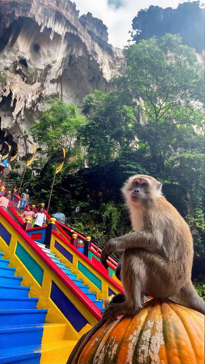 FlightHub's tweet photo. Batu Caves, Malaysia😍 https://t.co/MXwmEjiWVZ
