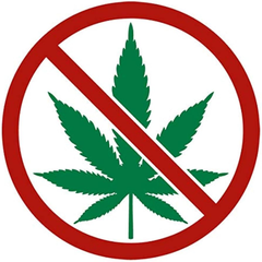 EddyXBT's tweet photo. Today I learned the FBI struggles to hire hackers because apparently you need to be clean from smoking weed for 3+ years 😭 https://t.co/IrBNMoDYQw