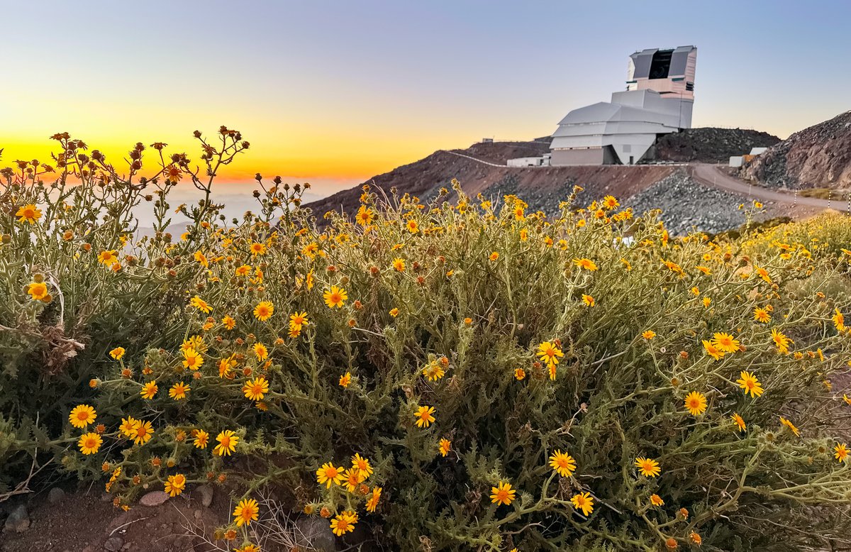 AURAinChile's tweet photo. 🌸Esta noche, 21:06, ¡comienza el equinoccio de primavera en Chile!
 
📷: @VRubinObs de NSF-DOE, Cerro Pachón, Chile. https://t.co/F7wZvABTWw