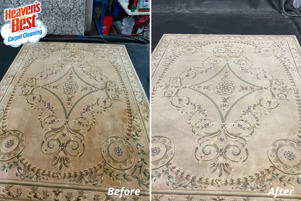 HeavenBestCO's tweet photo. Your area rugs have endured it all - give them the VIP treatment this summer with Heaven's Best! Our professional deep cleaning services will leave your rugs fresh, spotless, and ready to impress for years to come. Call now for a free quote: (970) 626-4260 https://t.co/SxdxFHnHd8