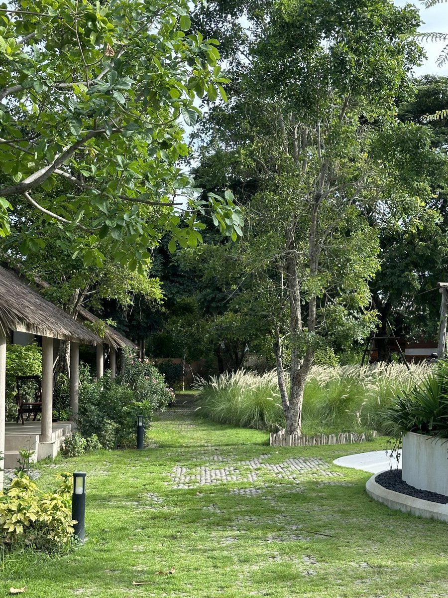 jay_thvnkrn's tweet photo. อยากแนะนำรีสอร์ต The Life Garden Boutique Farm-stay 🍃 จังหวัด เพรชบุรี

ฟาร์มสเตย์ รีสอร์ต ที่ให้ความสงบ ร่มรื่น 
เหมาะกับการ recharging พลังงาน 🥰

ภายในพื้นที่รีสอร์ตสระว่ายน้ำ คาเฟ่ และฟาร์มเลี้ยงสัตว์ เช่น ไก่ไข่ กระต่าย แพะ ปลา

จริงๆ มีรูปมากกว่านี้ ไว้จะลงในเธรดต่อครับ https://t.co/aVzwuamzPw