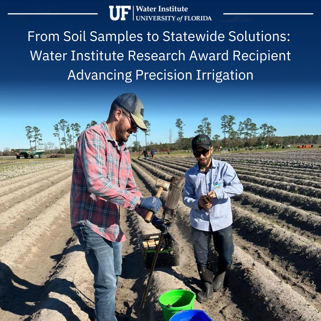 ufwater's tweet photo. Research initiated with support from the WI Research Award helped Dr. Judyson Oliveira, a UF/IFAS Research Assistant Scientist and recent graduate from @ufhorticulture, build the foundation for a statewide subirrigation recommendation tool.

Learn more: https://t.co/cyBZ6POA85 https://t.co/K8YYhWXGrB