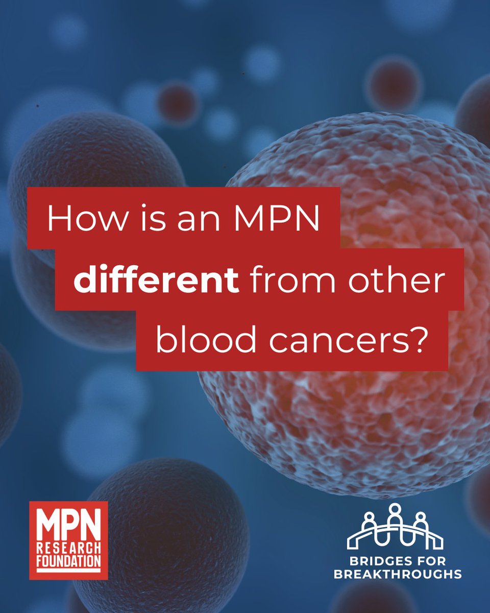 MPN_RF's tweet photo. 1/4 
MPNs — including ET, PV and MF — are blood cancers in which the bone marrow produces abnormal numbers of blood cells. They typically follow a chronic course, although disease behavior and progression vary. #MPNAwarenessDay https://t.co/IK7VJtF8JM