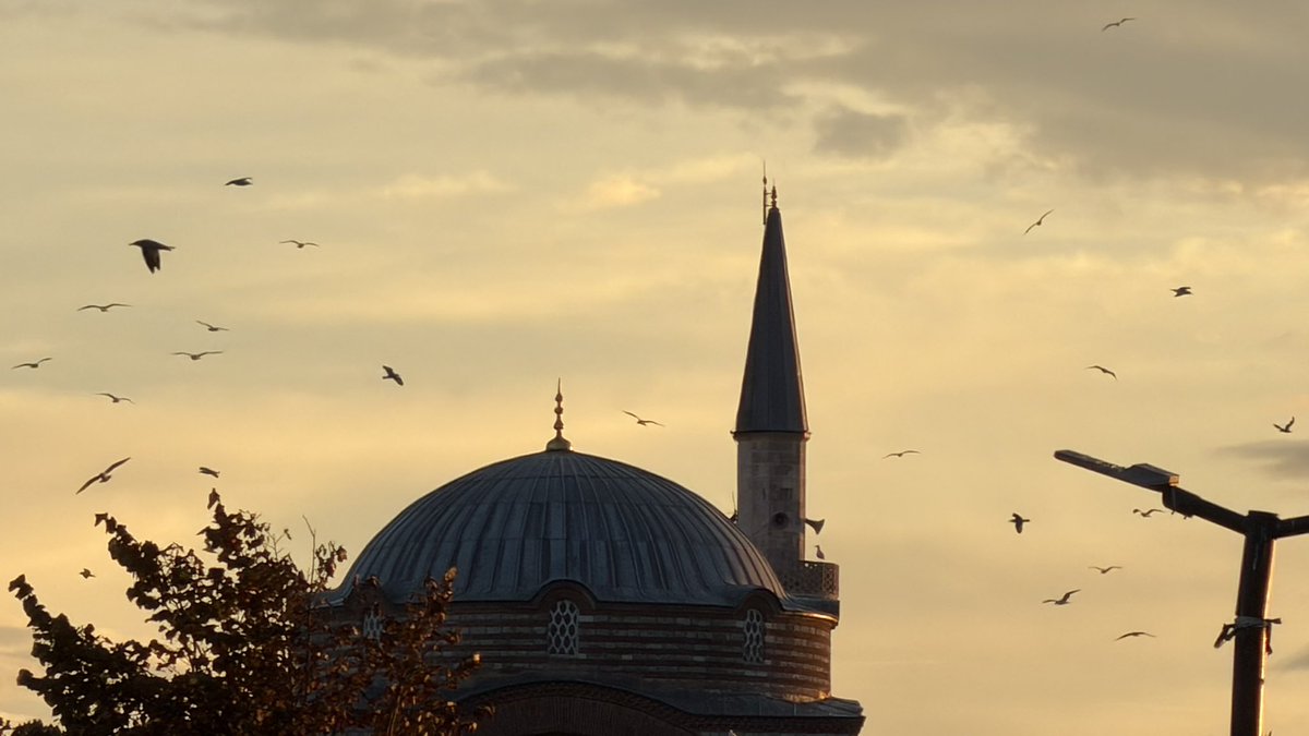 esmannurn's tweet photo. Güneşi bahardan koparıp
Aşkın bu en onulmazından koparıp
Bir tuz bulutu gibi
Savuran yüreğime
Ah uzatma dünya sürgünümü benim https://t.co/ml6I8Cnz23