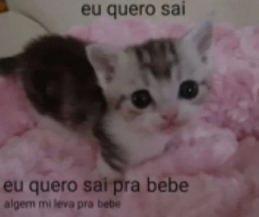haromansaa's tweet photo. quero beber quero beber quero beber quero beber quero beber quero beber quero beber quero beber quero beber quero beber quero beber quero beber quero beber quero beber quero beber quero beber quero beber quero beber quero beber quero beber quero beber quero beber quero beber https://t.co/ML2AiC1HT6