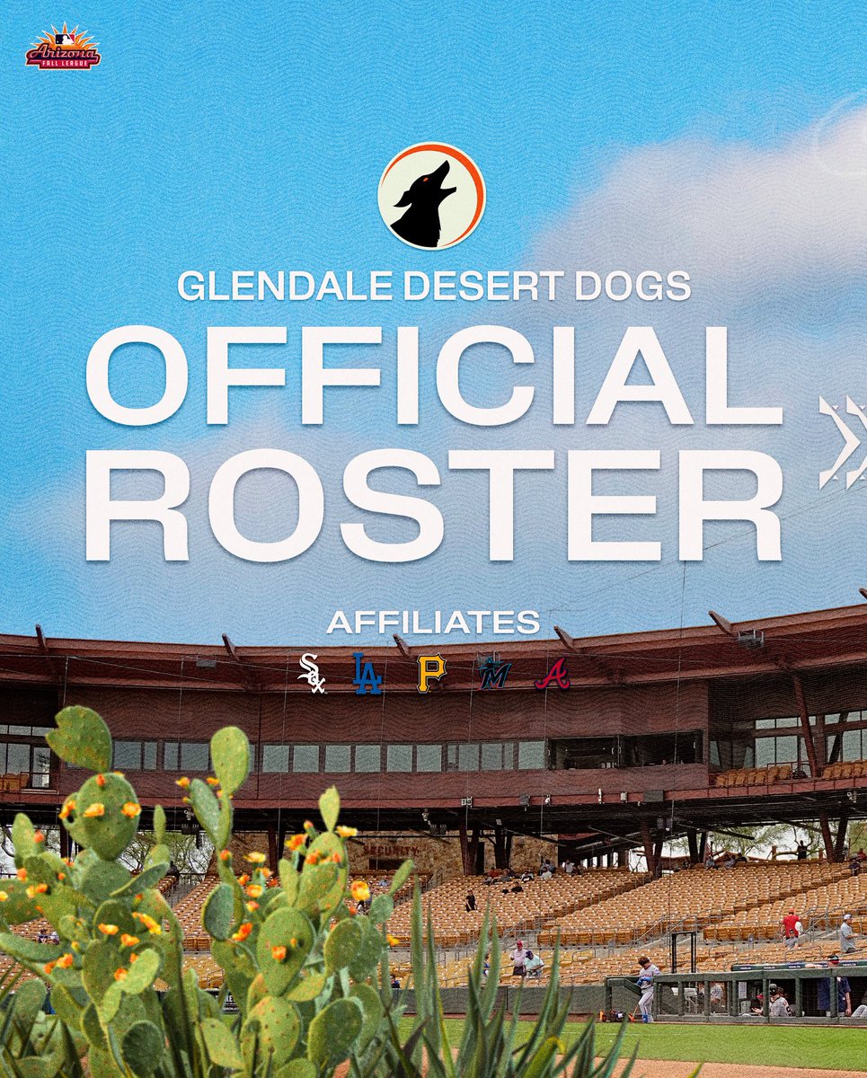 MLBazFallLeague tweet picture