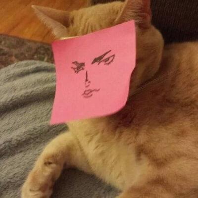 disikrt123's tweet photo. 🌻 🚀 🔥 🚀 👑 healing feels lonely until it doesn t. https://t.co/T9iFzGfSvw