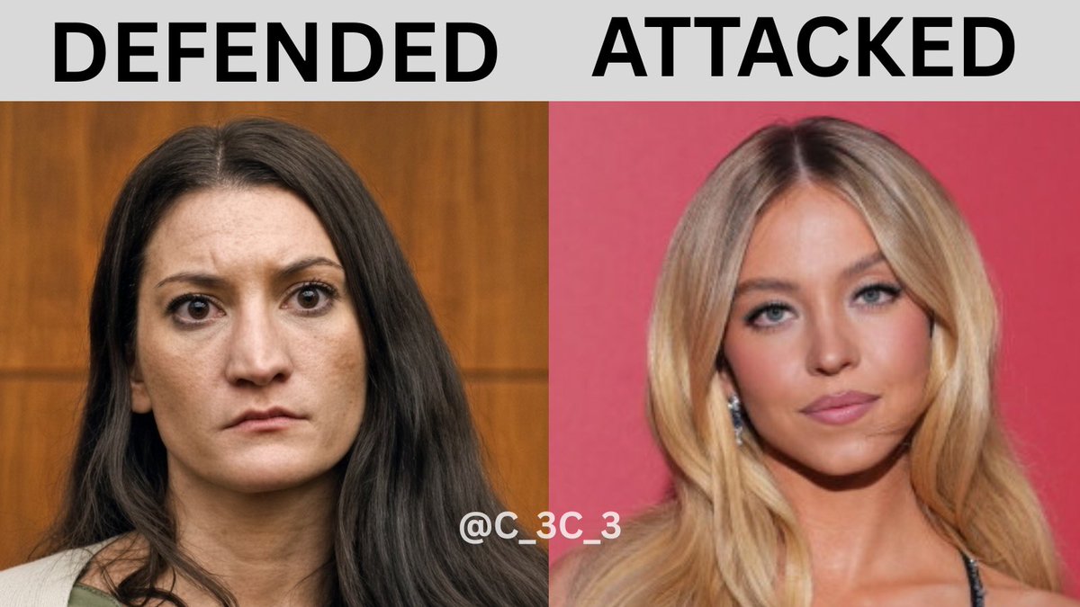 C_3C_3's tweet photo. Feminism Explained.👇 https://t.co/X4VxaSTG61