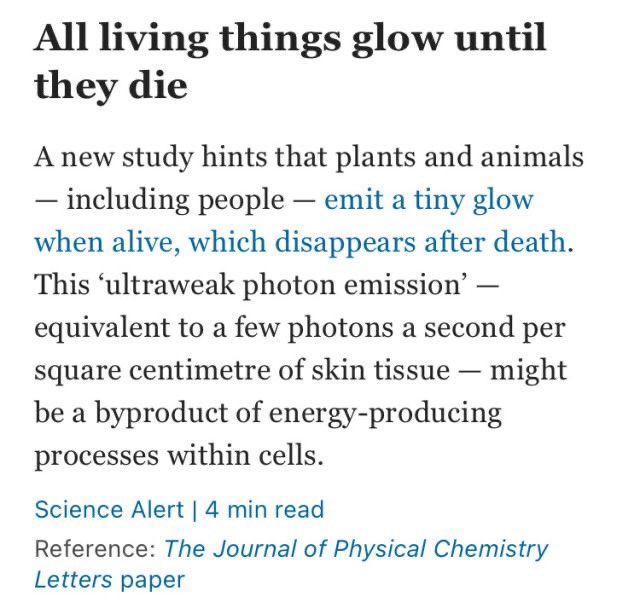 angelaramblings's tweet photo. Goethe’s Theory of Colours saw light as a living phenomenon revealed through its interplay with darkness, nature &amp; perception. 

In 2025, a study posited that every living plant emits photons from its own cells (which only extinguish upon death) https://t.co/4wKsUAvMW3