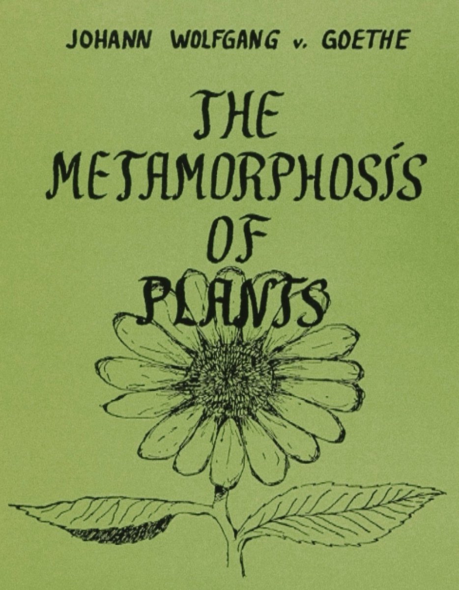 angelaramblings's tweet photo. Goethe’s Theory of Colours saw light as a living phenomenon revealed through its interplay with darkness, nature &amp; perception. 

In 2025, a study posited that every living plant emits photons from its own cells (which only extinguish upon death) https://t.co/4wKsUAvMW3