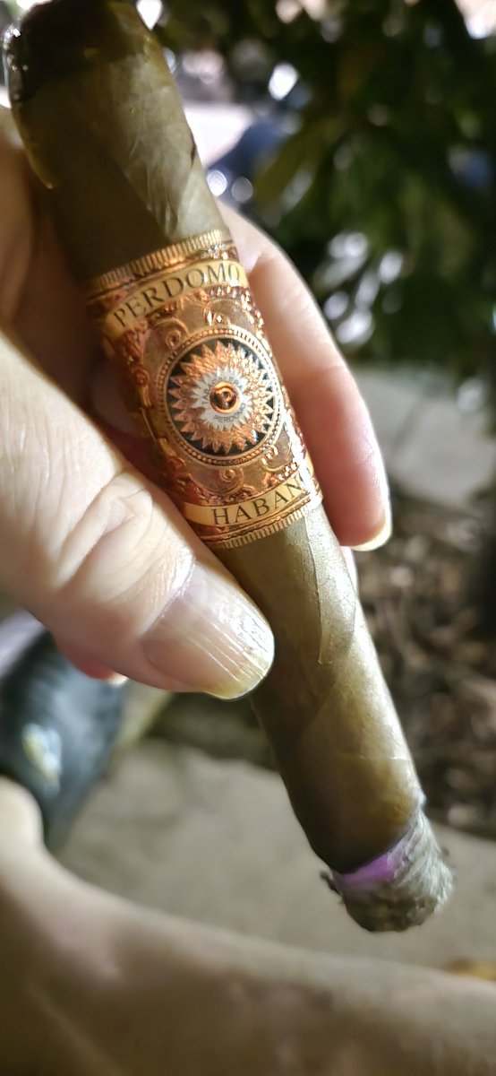 Karatevideoguy's tweet photo. Last night's cigar therapy was one of my all time favorites a Perdomo Habano Sungrown.
#cigartherapy #cigarsmoker #cigars #perdomocigars #perdomo #perdomohabano #cigarlife #cigarsociety #floridaliving #floridacigars #cigaraficionado #duuuval https://t.co/fn7zDa0RfB