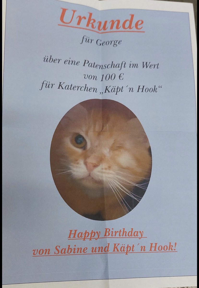 TheStourbridge's tweet photo. I don’t think a little ginger cat could feel more loved. 🧡

Thank you for every birthday wish, card and gift, and for every donation made to wonderful charities in my name.

From the bottom of my little ginger heart, thank you for being my friends. 🐾🧡 https://t.co/yhBbFHmHZb