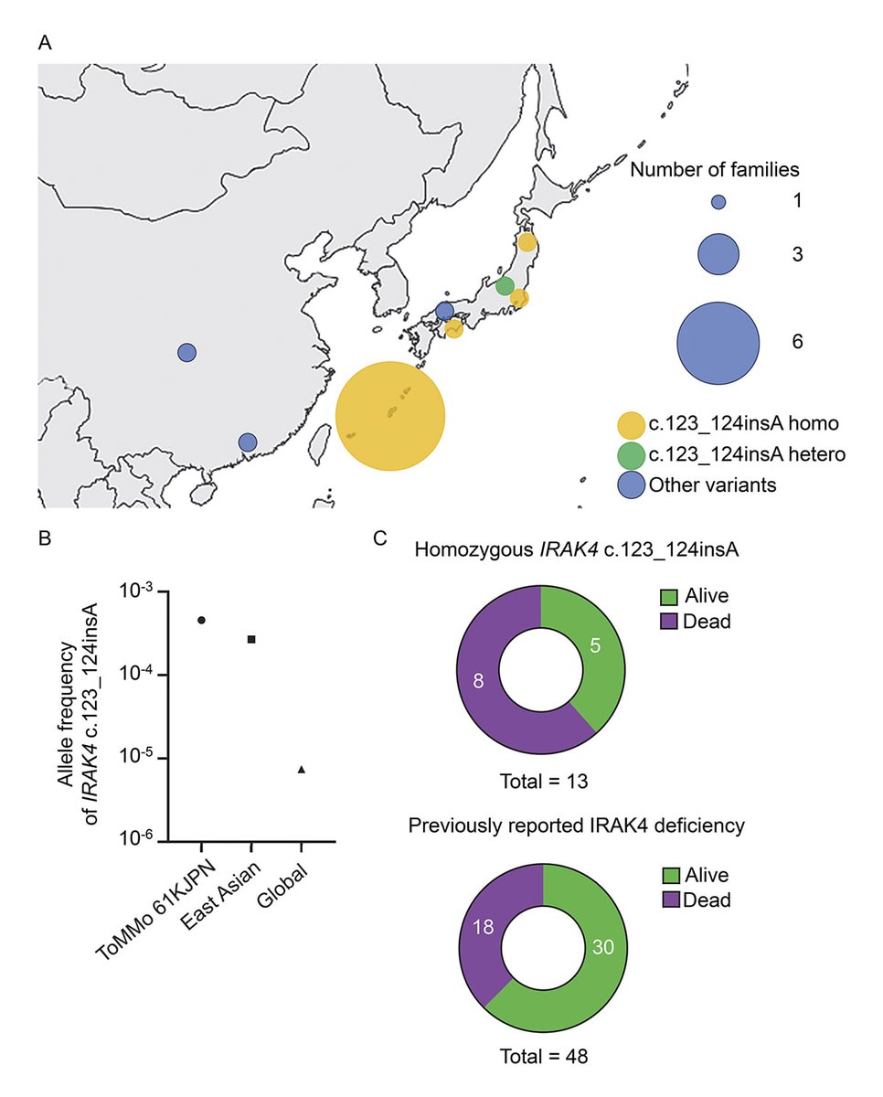 jhumimmunity's tweet photo. Tomomasa, Kanegane @sciencetokyo_ja and colleagues describe a clustering of patients w/ IRAK4 deficiency identified in Okinawa, Japan. (1/2): https://t.co/V8kvDFR3S4 https://t.co/aITfJzrm7H
