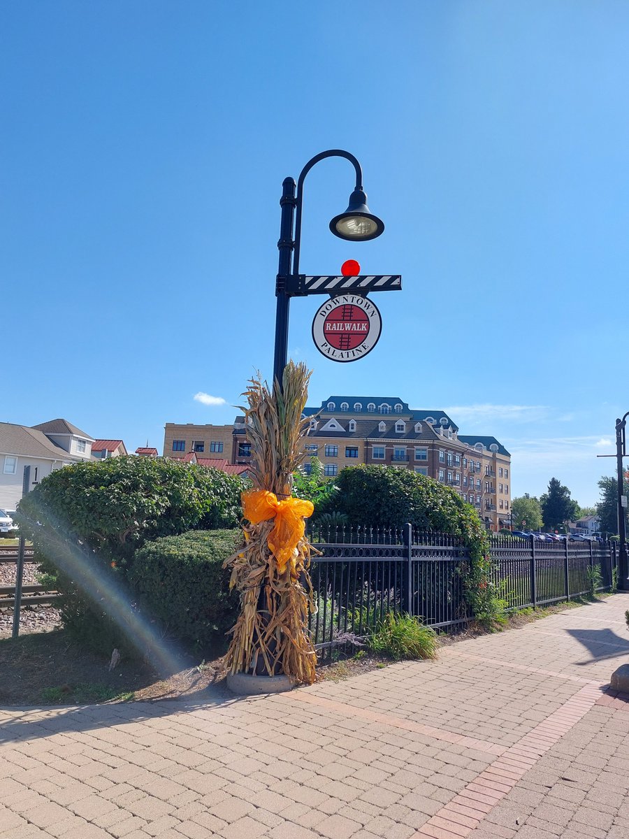 PalatineIL's tweet photo. On 9/12, the Beautification Commission held its annual Fall Decorating Event. 38 volunteers from Palatine &amp; Fremd installed cornstalks on poles in downtown Palatine to set the festive mood for fall. Thank you volunteers, Commissioners, &amp; PW Forestry Division for your hard work! https://t.co/4Fjxgd6WYB