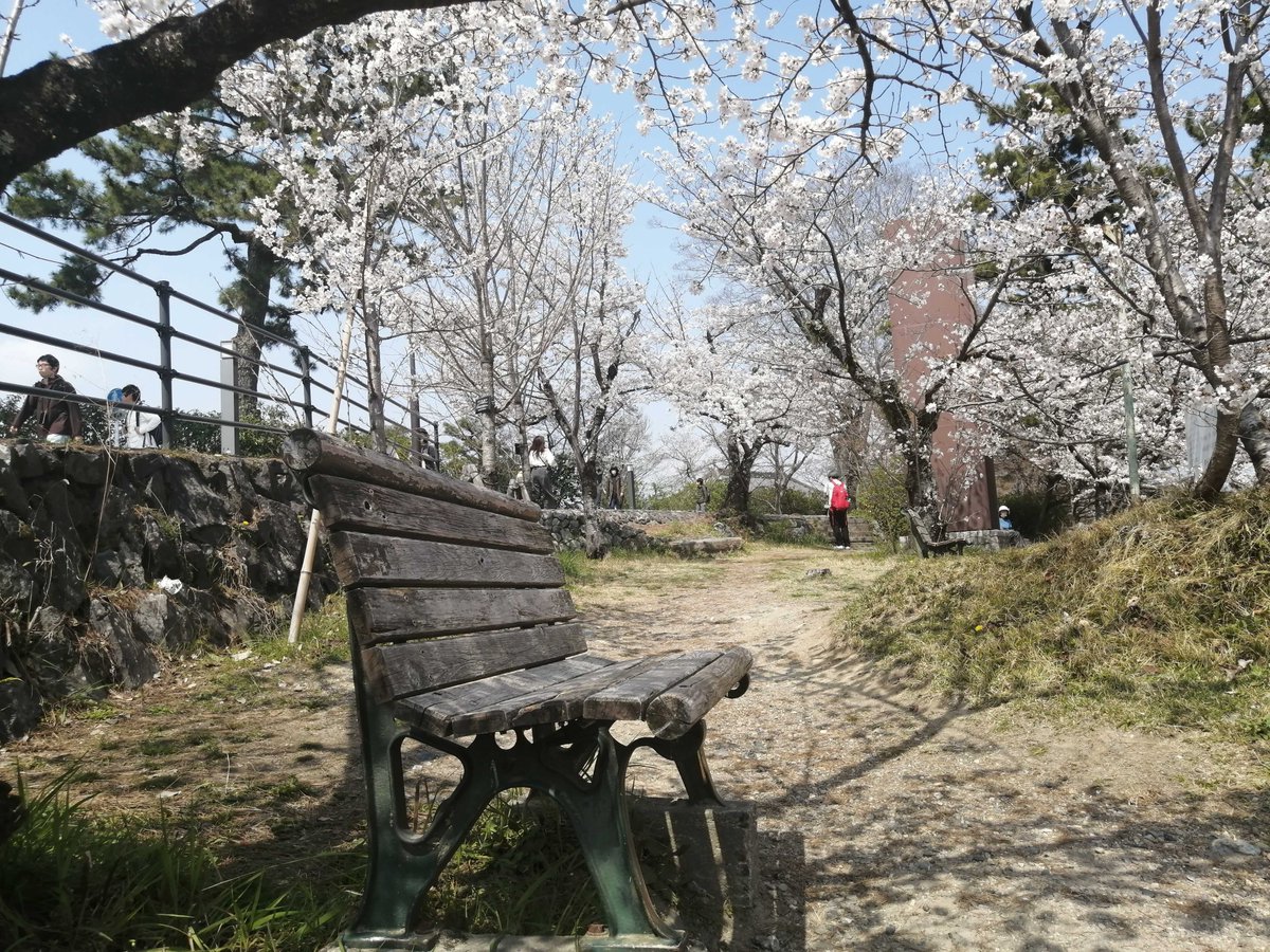 saborizini418's tweet photo. 大学生活を部活に捧げた私にとってユーフォは常に共にあった
私も部長を務め，部を立て直すために必死だったからこそユーフォと重なった

"私は何か残せたのだろうか"
結局納得いく結果を残せなかった私に刺さったが、もがき抜いたあの日々こそが自分の誇りだと背中を押して��れた
#ユーフォ最終楽章 https://t.co/GCYvkN38ll