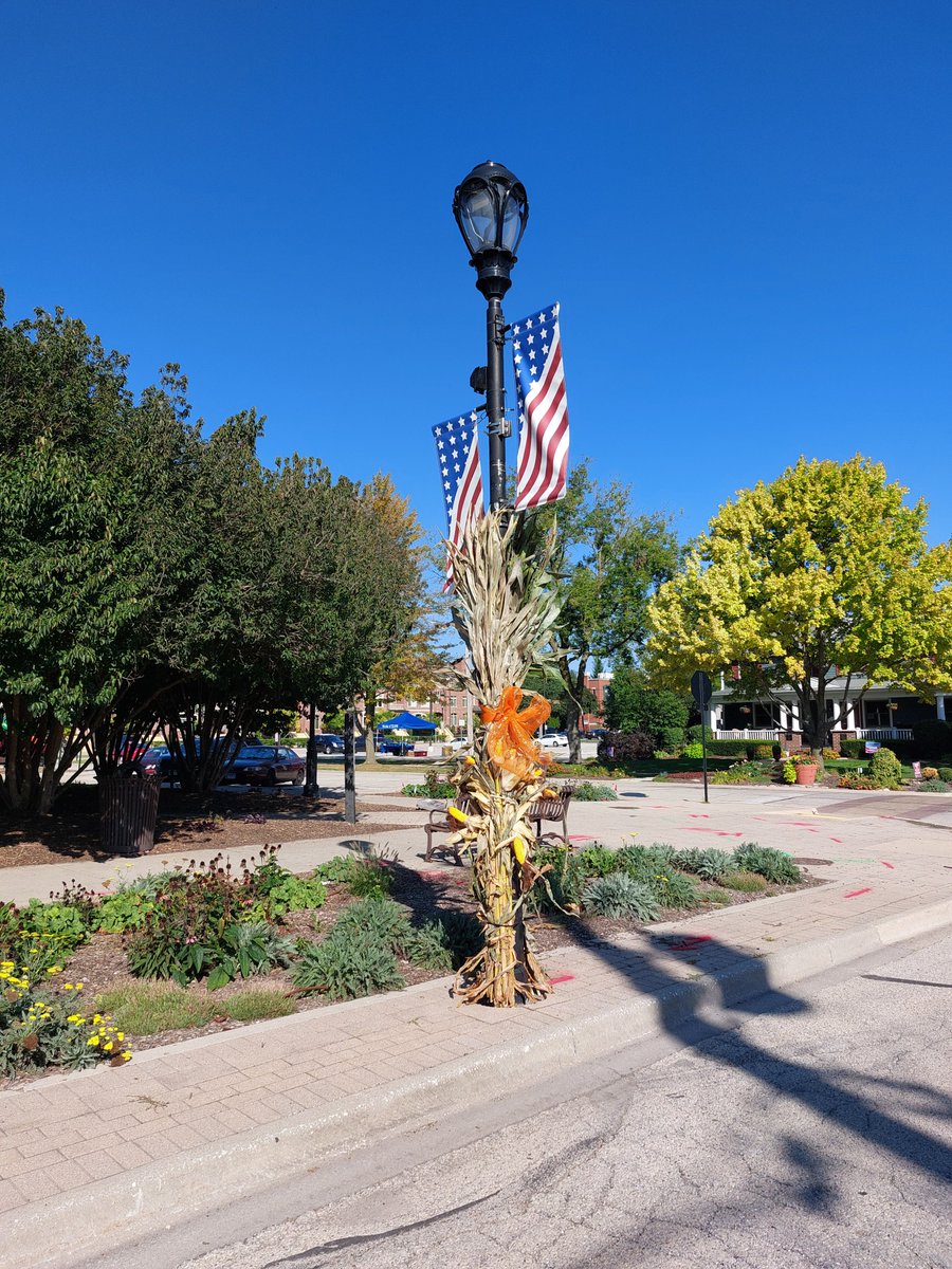 PalatineIL's tweet photo. On 9/12, the Beautification Commission held its annual Fall Decorating Event. 38 volunteers from Palatine &amp; Fremd installed cornstalks on poles in downtown Palatine to set the festive mood for fall. Thank you volunteers, Commissioners, &amp; PW Forestry Division for your hard work! https://t.co/4Fjxgd6WYB