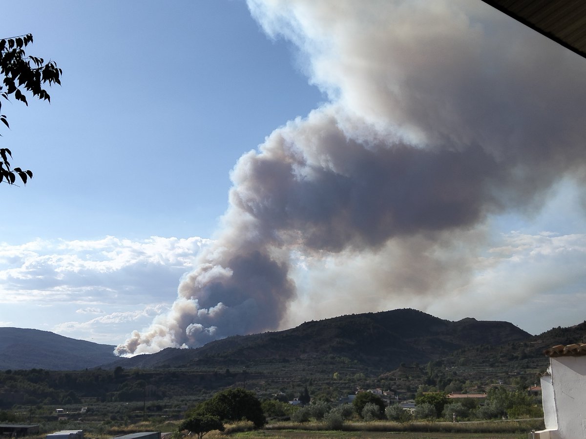 Salva_chelva's tweet photo. @mitecogob Ahora es el momento, mandar la mayor cantidad de medios aéreos posibles, no mañana, ni dentro de 2 días cuando esté todo quemado y salgan en las noticias.
No hay carreteras a partir de esa zona, no hay caminos, solo bosque dentro de la #reservabiosferaaltoturia
#IFTuejar https://t.co/t5xk8Xbg7D