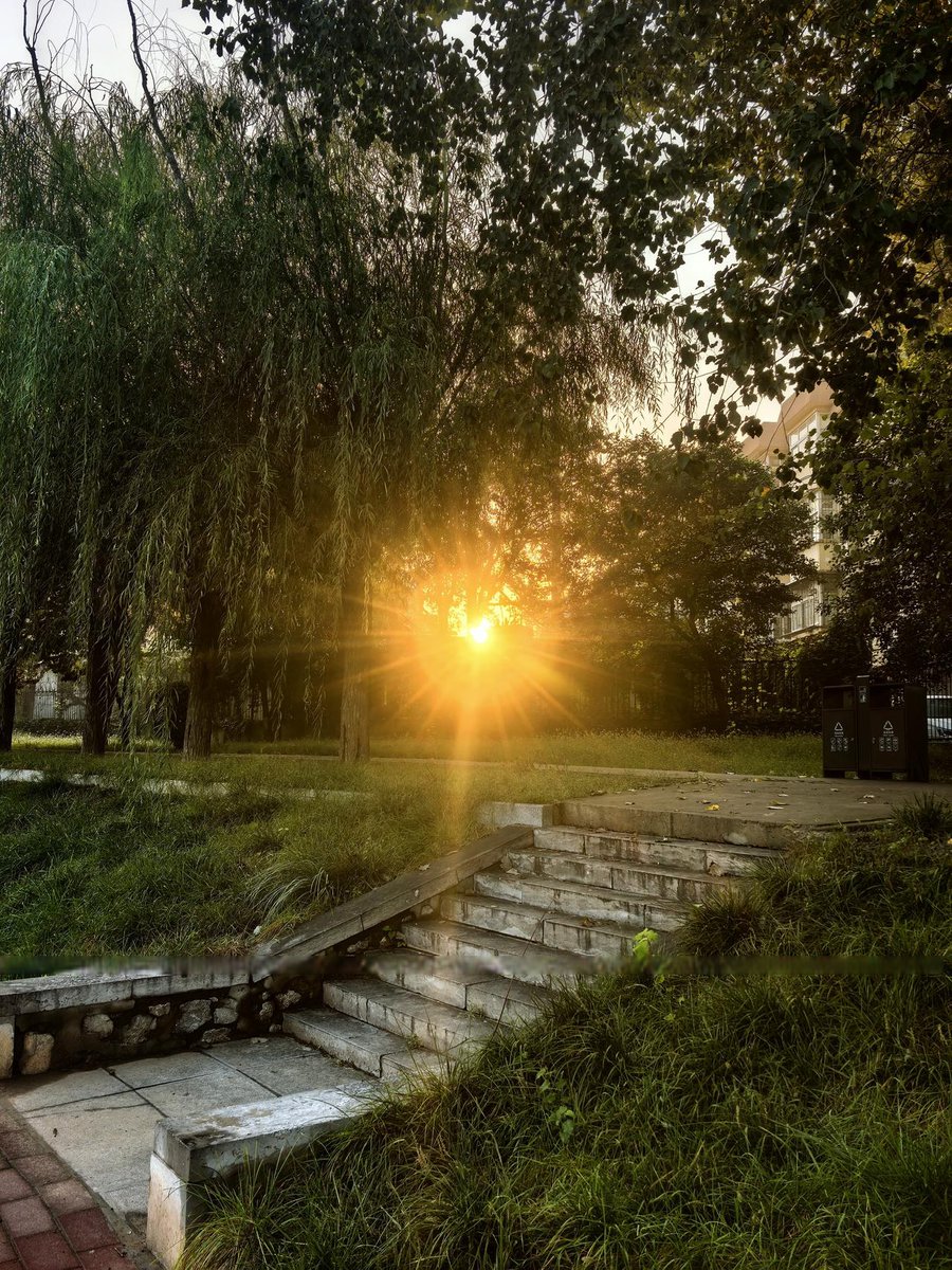 ariex618972's tweet photo. New to photography Start with mastering natural light—even golden hour soft light at 6pm makes basic shots look way more polished. No fancy gear needed! https://t.co/Meeb0XADpt
