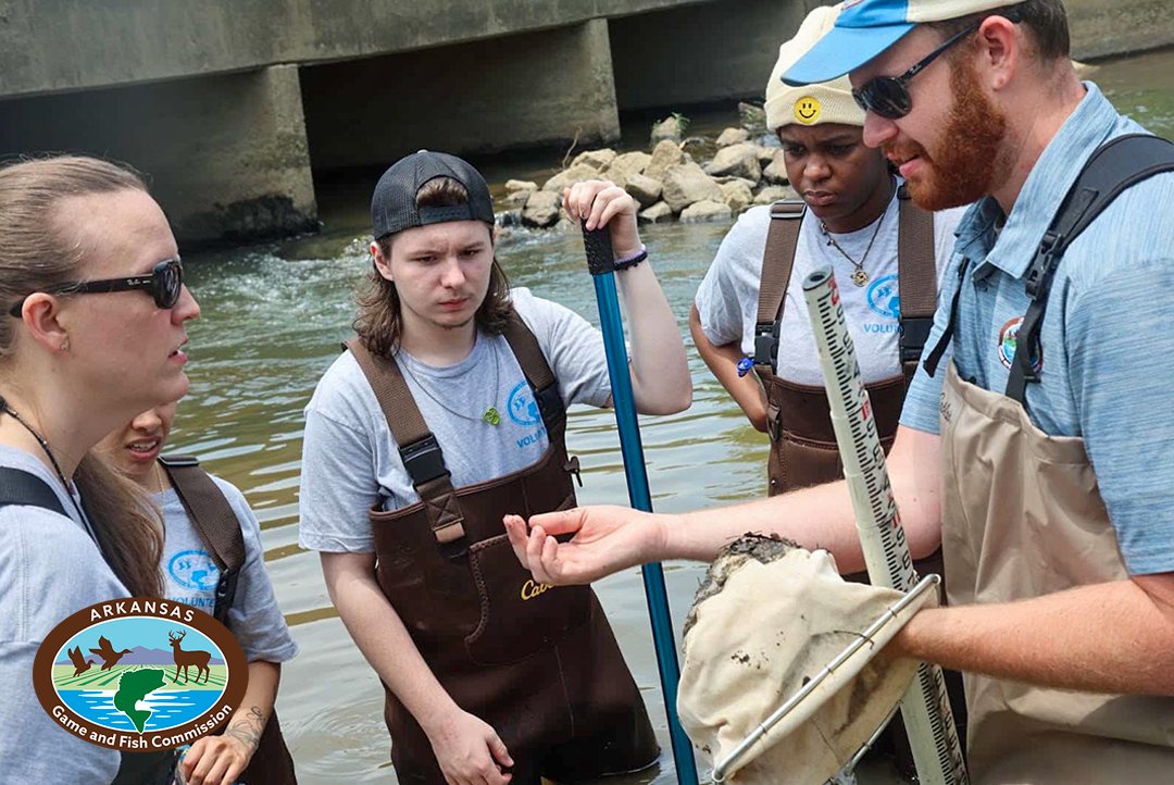 ARGameandFish's tweet photo. AGFC, AEDC Open Applications for More Than $690,000 to Schools Through Conservation Education Grants 
The Arkansas Game and Fish Commission and Arkansas Economic Development Commission’s Division of Rural Services is offering more than $690,000 to ...https://t.co/gevLXrbpY2 https://t.co/xoQZ5ja4c9