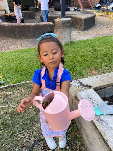 alief_middle's tweet photo. AMS ECHO Garden coming to life! Special thanks to Coach Lupton, Mrs. Henderson, and dedicated volunteer for spending Sat. filling 3 garden beds w/organic compost. Mrs. Henderson inspired future gardeners by providing staff kids w/gardening attire and equipment! #GrowingGreatness https://t.co/eoqouJZDfs