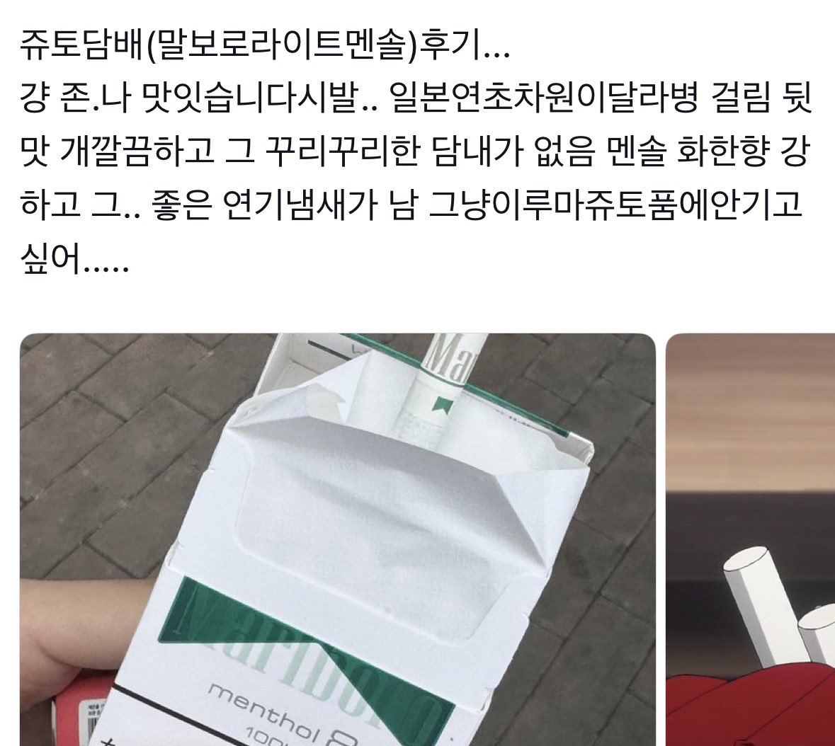 1111x0530's tweet photo. 제가 피웟던 후기는 이래요.......
전 멘솔충이라 말보로멘솔이 ㄹㅇ좋앗고 럭키스트라이크는 두대 피우고 처박아둠 https://t.co/FIbi8D44pD