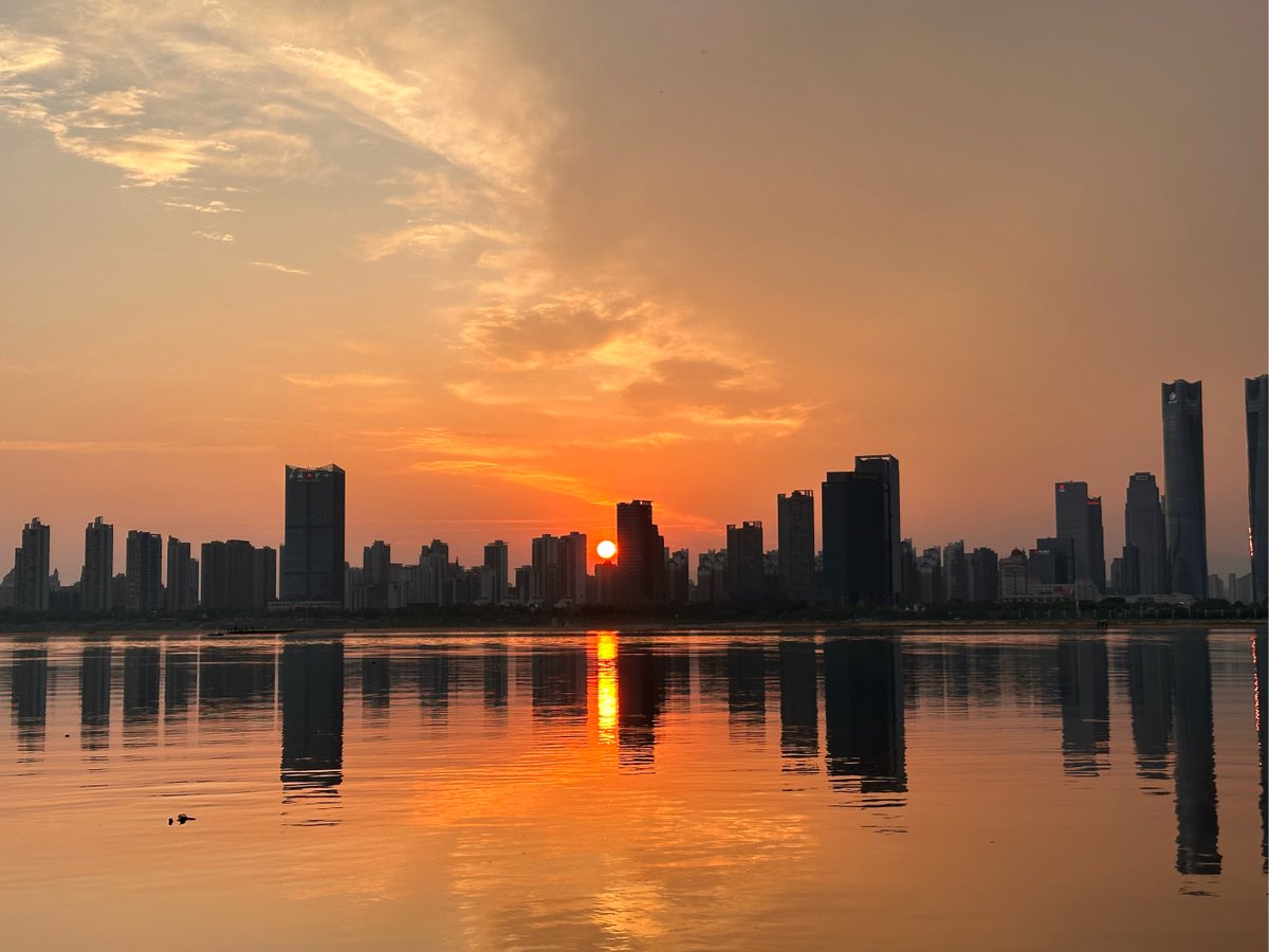 grayp631098's tweet photo. Caught this stunning sunset over the city skyline on my evening commute—perfect way to end the work week! ， https://t.co/48FyKXzIez