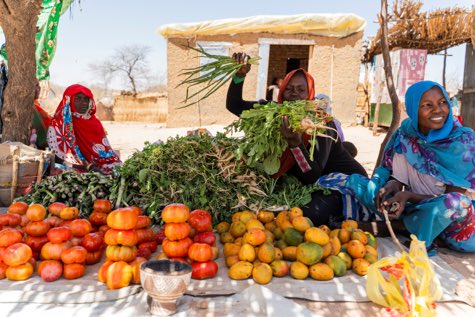 UnhcrTchad's tweet photo. Beyond the humanitarian context, eastern Chad has real economic potential.

A joint UNHCR, UN, Government and private sector mission identified opportunities for investment and job creation that can strengthen the economic inclusion of refugees and host communities.

🔗Read more: https://t.co/wtlUpvmfkW