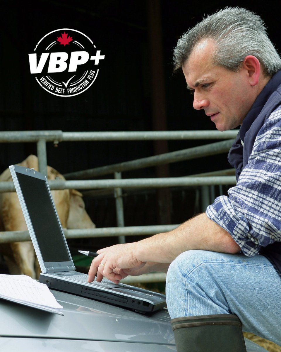 VBPCanada's tweet photo. Nearly 21,400 beef producers have received training through the Verified Beef Production program. Investing in training helps producers build confidence in their records, management practices and on-farm protocols.  
Get started with VBP+ training today: https://t.co/53kUjRqjiL https://t.co/jdVucGsiZ6