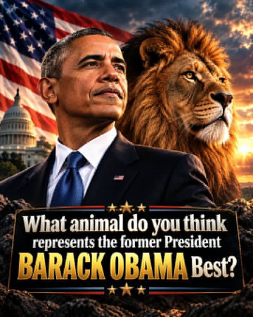 ERXMchat's tweet photo. Hello American 🇺🇸 🇺🇸 

What animal do you think represents the Former President Best? https://t.co/mos1hsij2V