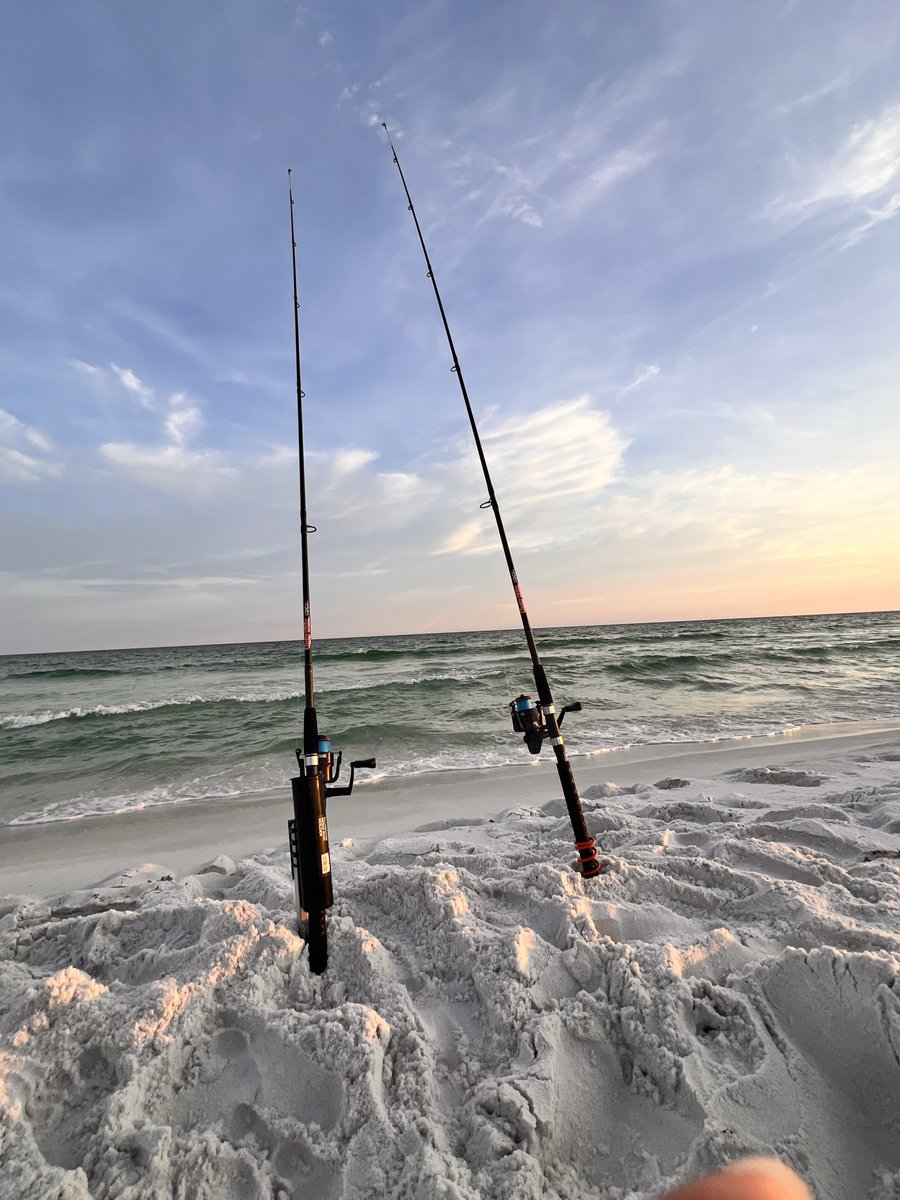 BIGxPIG's tweet photo. Pensacola Florida https://t.co/iYJ0Qyzmyv