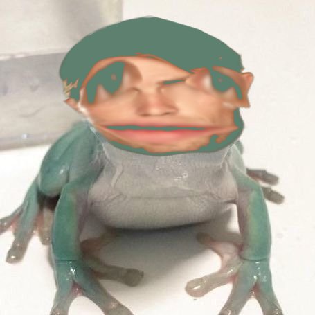 randomkinsella's tweet photo. wade kinsella as a frog https://t.co/uvc2GQJ2yS