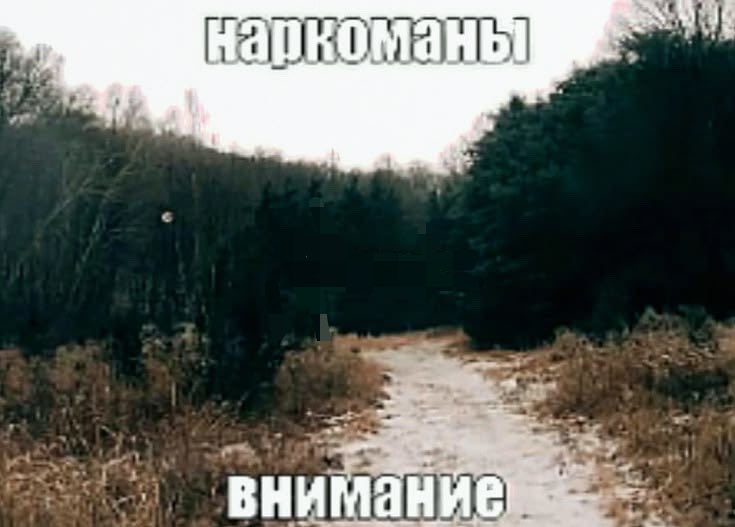LonelyBUTtt's tweet photo. я помешана на фильмах Ренаты Литвиновой. https://t.co/HeJb2ouRhe