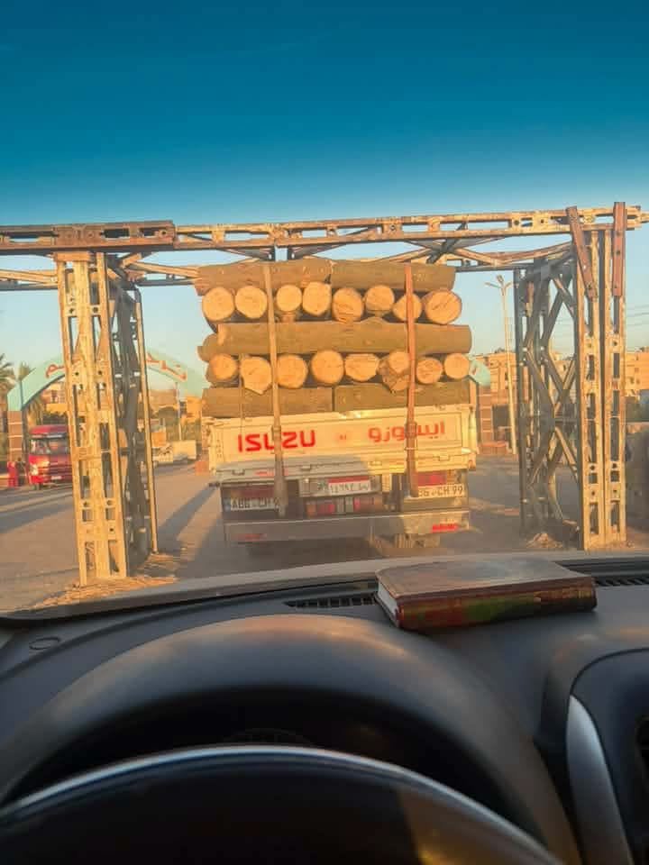 5ormmm's tweet photo. للأسف لازالت مذابح الأشجار جارية، واليوم تم قطع أشجار الكافور التاريخية في حديقة قناطر إدفينا  بمدينة مطوبس والتي تم افتتاحها عام ١٩٥١. 

تم فتح تحقيق عاجل في الأمر ولكن الكارثة وقعت بالفعل ! https://t.co/OJZ6It2MVB