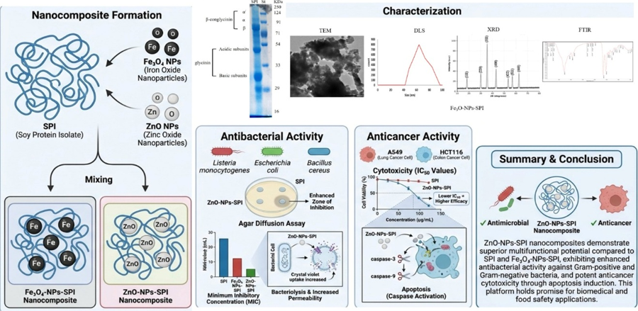 BioResJournal's tweet photo. Soy protein isolate + ZnO nanoparticles = powerful bioactivity.

🧬New BioResources research shows ZnO-SPI nanocomposites enhanced antibacterial effects and induced apoptosis in cancer cells.

https://t.co/gJsbJC2kAl

#Nanotechnology #Antimicrobial #CancerResearch #BioResJournal https://t.co/rTUrsC6BvW