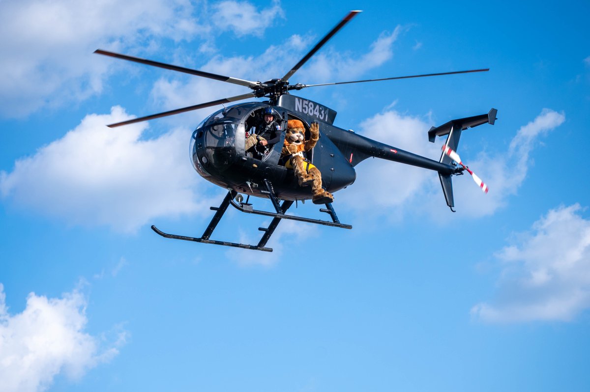 A person in a lion mascot costume riding in a black helicopter.
