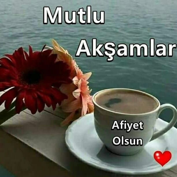 oruc110689's tweet photo. @ServetC68149636 Hayırlı akşamlar dilerim ☕ https://t.co/Eo5kOCEPed