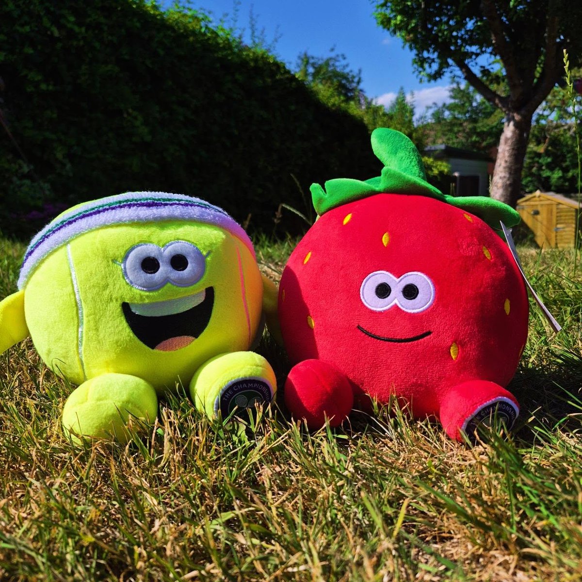 sdgoncalves2's tweet photo. Who’s Wimbledon ready? A special package arrived today from @wimbledon: Pip the strawberry and Bounce the tennis ball. I absolutely adore them. https://t.co/56quqooI9q