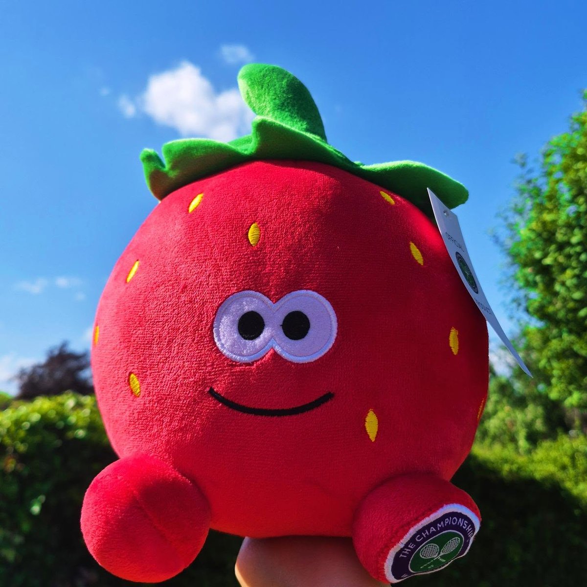 sdgoncalves2's tweet photo. Who’s Wimbledon ready? A special package arrived today from @wimbledon: Pip the strawberry and Bounce the tennis ball. I absolutely adore them. https://t.co/56quqooI9q