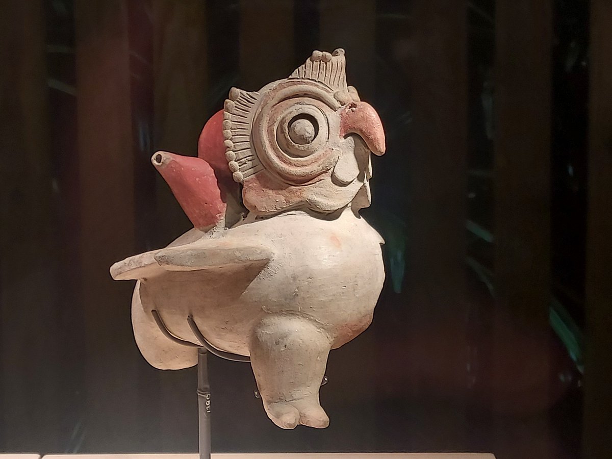 famartinez2001's tweet photo. Espectacular la exposición del @marqalicante
"El oro y el universo. Saberes indígenas de Colombia"
@cultura_hola https://t.co/vcxFNxNvdZ
