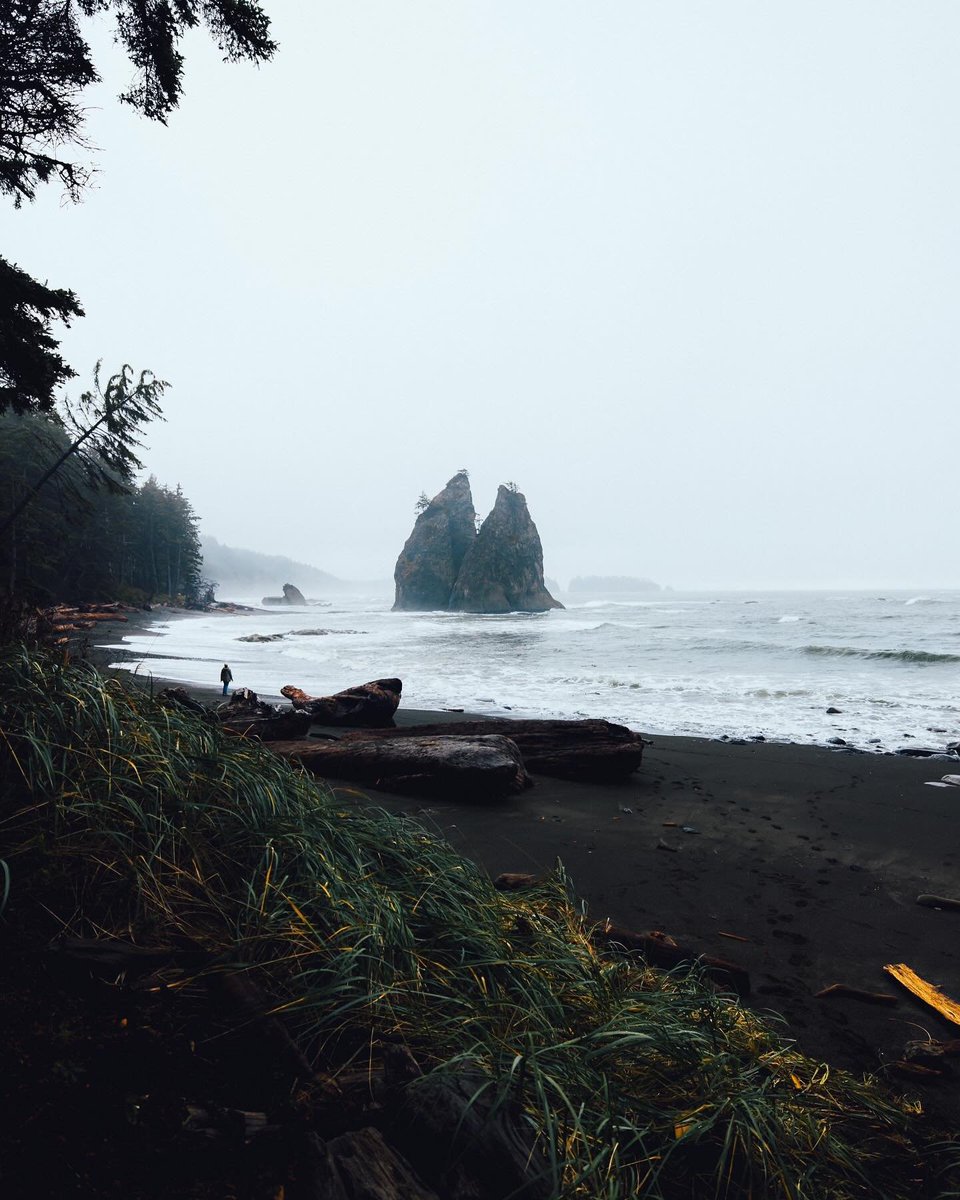 visualsofearth1's tweet photo. Pacific Northwest https://t.co/Z9Z18o0OCC