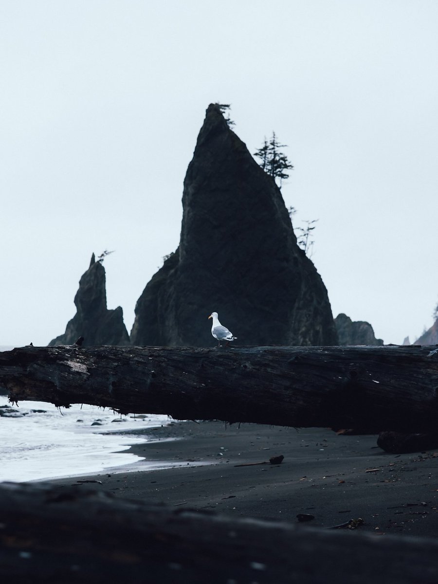 visualsofearth1's tweet photo. Pacific Northwest https://t.co/Z9Z18o0OCC
