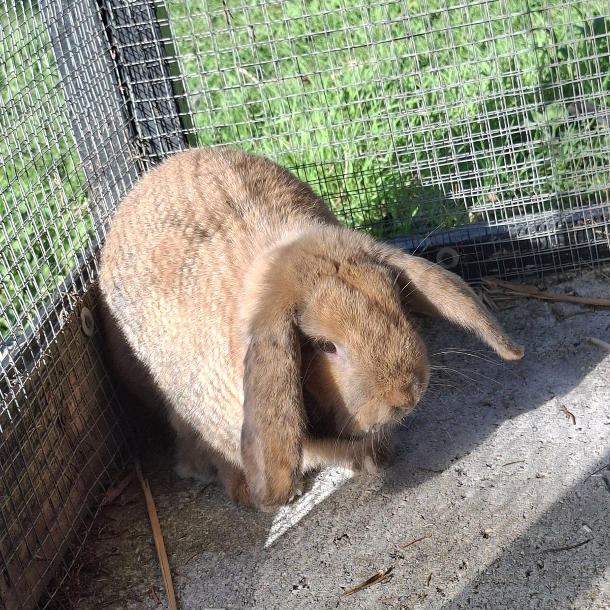 actualites2023's tweet photo. D. 🐇🤍 https://t.co/na6SLDh3q5