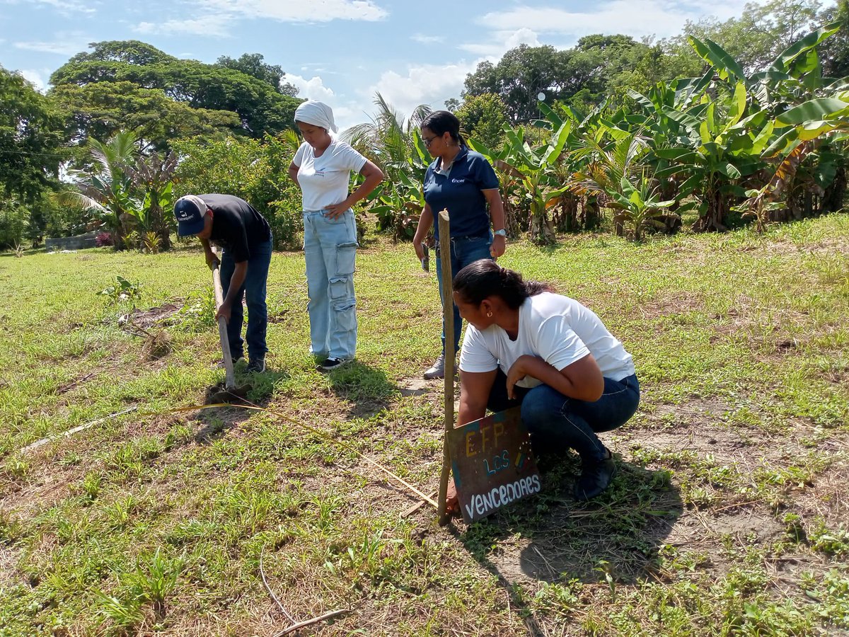 MROBINSONYARA's tweet photo. #15Sep En el Espacio de Formación Productiva "Los Vencedores" mcpio Independencia nuestros misioneros en compañía de la Ing. Rosangel Oduber del INCES realizaron desmalezamiento al terreno y dieron continuidad al curso sobre siembra de plantas frutales y forestales
@NicolasMaduro https://t.co/ZrbKrBqyEv